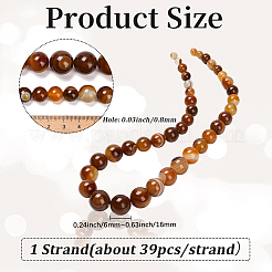 1 Strand  Natural Banded Agate Graduated Beads Strands&nbsp;G-PA0002-04C