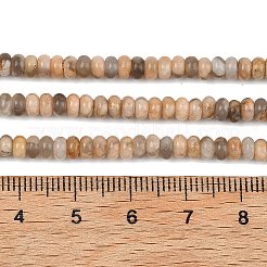 Natural Feldspar Beads Strands&nbsp;G-K343-C53-01