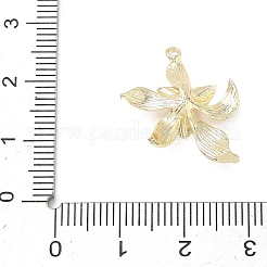 Brass Pendants&nbsp;KK-G601-05G-07