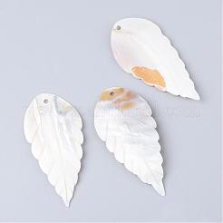 Freshwater Shell Big Pendants&nbsp;SHEL-S249-10