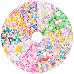60G 10 Styles Handmade Polymer Clay Cabochons&nbsp;CLAY-TA0001-70