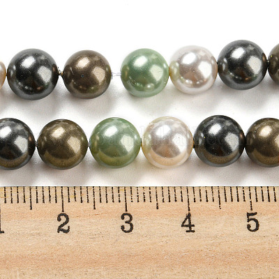 Polished Shell Pearl Bead Strands&nbsp;BSHE-F013-07D-1