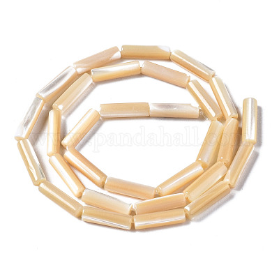Natural Trochid Shell/Trochus Shell Beads Strands&nbsp;SSHEL-S266-020B-03-1