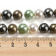 Polished Shell Pearl Bead Strands&nbsp;BSHE-F013-07D-4