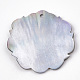 Black Lip Shell Pendants&nbsp;SSHEL-S251-12-3