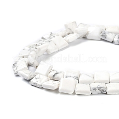 Natural Howlite Beads Strands&nbsp;G-K337-05
