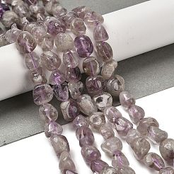 Natural Purple Phantom Quartz Purple Lodolite Quartz Beads Strands&nbsp;G-P497-01E-39A