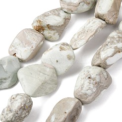 Natural Variscite Beads Strands&nbsp;G-D098-C09