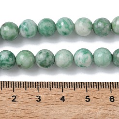 Natural Green Spot Jasper Beads Strands&nbsp;G-L651-A01-8mm