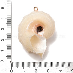 Natural Conch Shell Pendants&nbsp;SH-CBAD3AC-01
