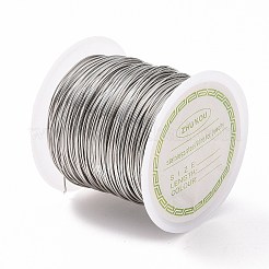 Non-Tarnish 316 Surgical Stainless Steel Wire&nbsp;TWIR-L004-01B-P