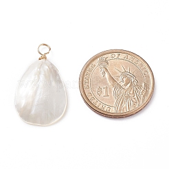 Natural Trochid Shell/Trochus Shell Pendants&nbsp;X-PALLOY-JF01393