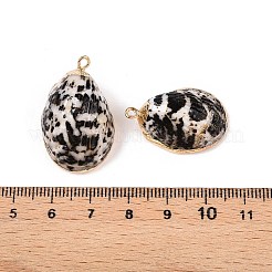 Natural Sea Shell Pendants&nbsp;SSHEL-N038-47