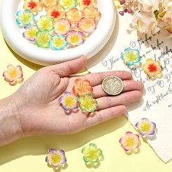 30Pcs 6 Colors Resin Cabochons&nbsp;RESI-YW0005-98