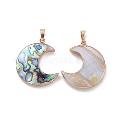Natural Abalone Shell/Paua Shell Pendants&nbsp;SSHEL-L019-08G