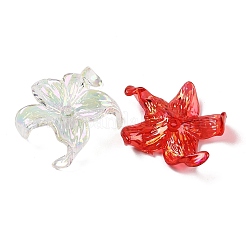Transparent Acrylic Beads&nbsp;X-MACR-K358-06B