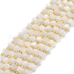 Natural White Moonstone Beads Strands&nbsp;G-P463-16
