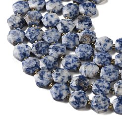 Natural Blue Spot Jasper Beads Strands&nbsp;G-H344-B02-01