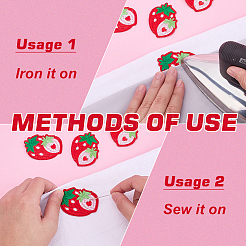 30Pcs Strawberry Computerized Embroidery Cloth Iron on/Sew on Patches&nbsp;PATC-FG0003-73A