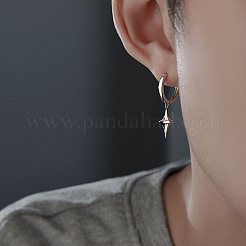 Star Brass Hoop Earrings&nbsp;FS-WGD90F4-01