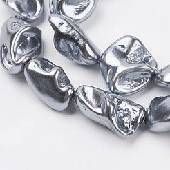 Shell Pearl Beads Strands&nbsp;BSHE-K010-08C