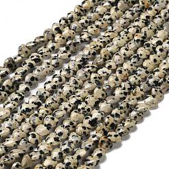 Natural Dalmatian Jasper Beads Strands&nbsp;G-P575-C03-6mm