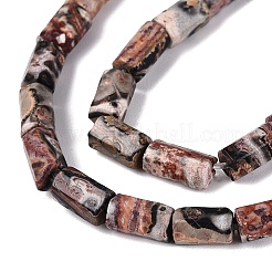 Natural Leopard Skin Jasper Beads Strands&nbsp;GG-N002-01A-12