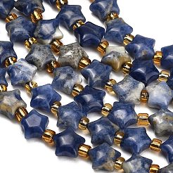 Natural Sodalite Beads Strands&nbsp;G-Z080-A28-8mm