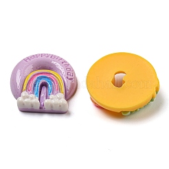 Imitation Food Resin Decoden Cabochons&nbsp;RESI-C046-02