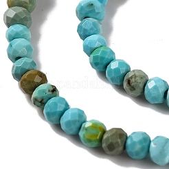 Natural Howlite Beads Strands&nbsp;G-H025-03A-01