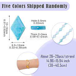 1 Strand Dyed Natural Freshwater Shell Beads Strands&nbsp;SHEL-TA0001-27