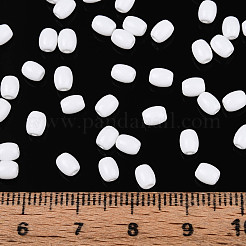 Baking Paint Glass Seed Beads&nbsp;SEED-N007-29L