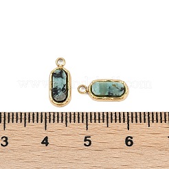 Natural African Turquoise(Jasper) Rectangle Charms&nbsp;STAS-I325-141B-G
