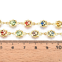 Brass Insecta Link Chains&nbsp;CHC-N023-05G