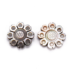 Natural Black Lip Shell Cabochons&nbsp;SSHEL-T014-25