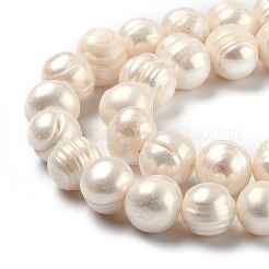 Natural Cultured Freshwater Pearl Beads Strands&nbsp;PEAR-L033-26-01