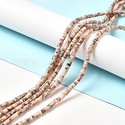 Natural Fossil Beads Strands&nbsp;G-I339-05