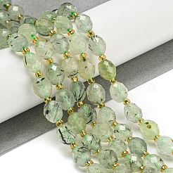 Natural Prehnite Beads Strands&nbsp;G-N342-43