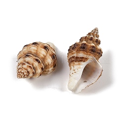 Natural Spiral Shell Pendants&nbsp;SHEL-K009-17C
