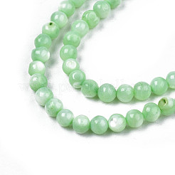 Natural Freshwater Shell Beads Strands&nbsp;X-SHEL-N003-24-B03