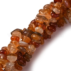 Dyed Natural Carnelian Chip Beads Strands&nbsp;G-E271-105