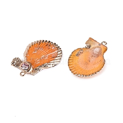 Electroplated Golden Brass Trim Natural Sea Shell Pendants&nbsp;SSHEL-N042-34