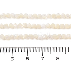 Natural Trochus Shell Beads Strands&nbsp;SHEL-P017-05