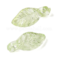 Transparent Acrylic Charms&nbsp;X-TACR-F009-11B