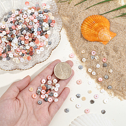 4 Strands 4 Colors Natural Shell Beads Strands&nbsp;SSHEL-PA0001-04