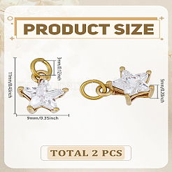 2Pcs Brass Pendants&nbsp;ZIRC-LP0001-50