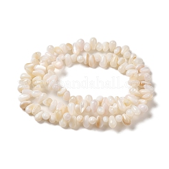 Natural Freshwater Beads Strands&nbsp;SHEL-K006-36