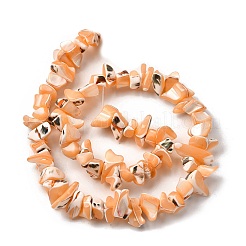 Natural Trochid Shell/Trochus Shell Beads Strands&nbsp;SHEL-B003-02B