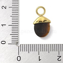304 Stainless Steel Natural Tiger Eye Pendants&nbsp;LS-STAS-L277-07G-01