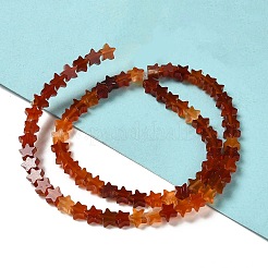 Natural Carnelian Beads Strands&nbsp;G-G085-B35-02